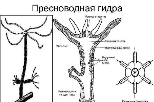 Где найти рабочую ссылку кракен